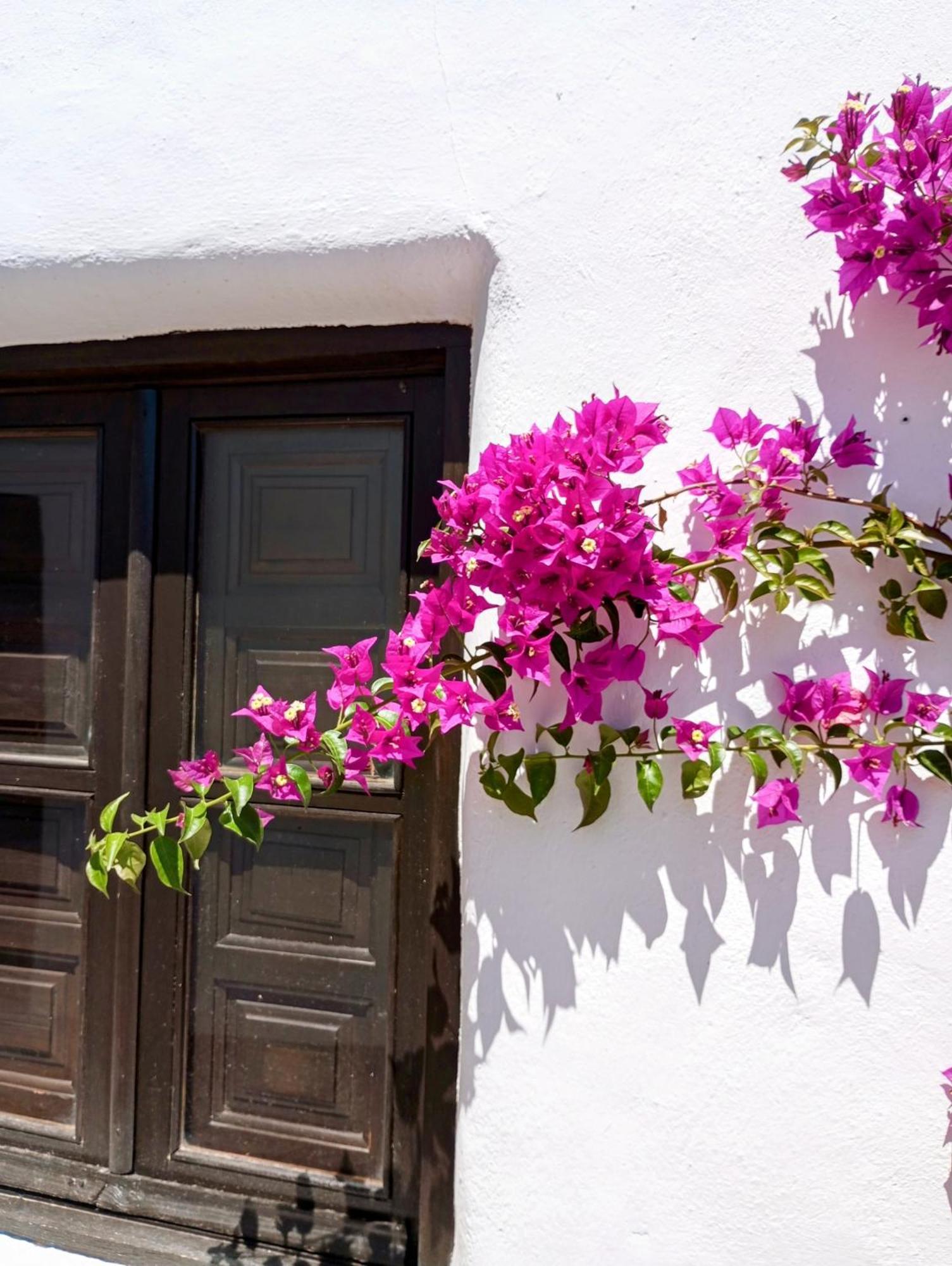 Casa Miguel Montefrio Villa กรานาดา ภายนอก รูปภาพ